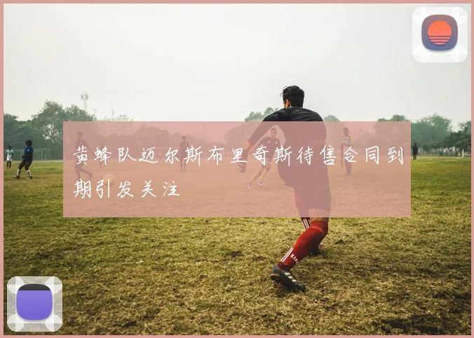 黄蜂队迈尔斯布里奇斯待售合同到期引发关注