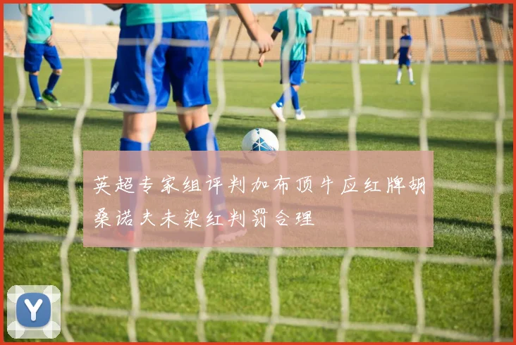 英超专家组评判加布顶牛应红牌胡桑诺夫未染红判罚合理